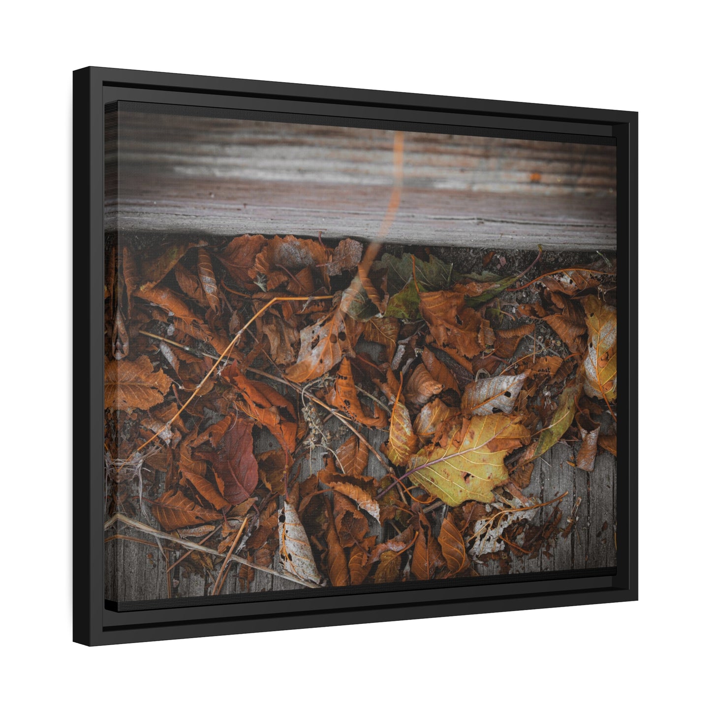 "Leaves on a Bridge" Framed Canvas