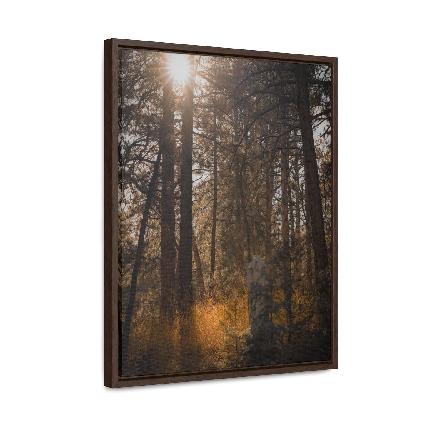 The Sun in the Cemetery Gallery Canvas Wraps, Vertical Frame