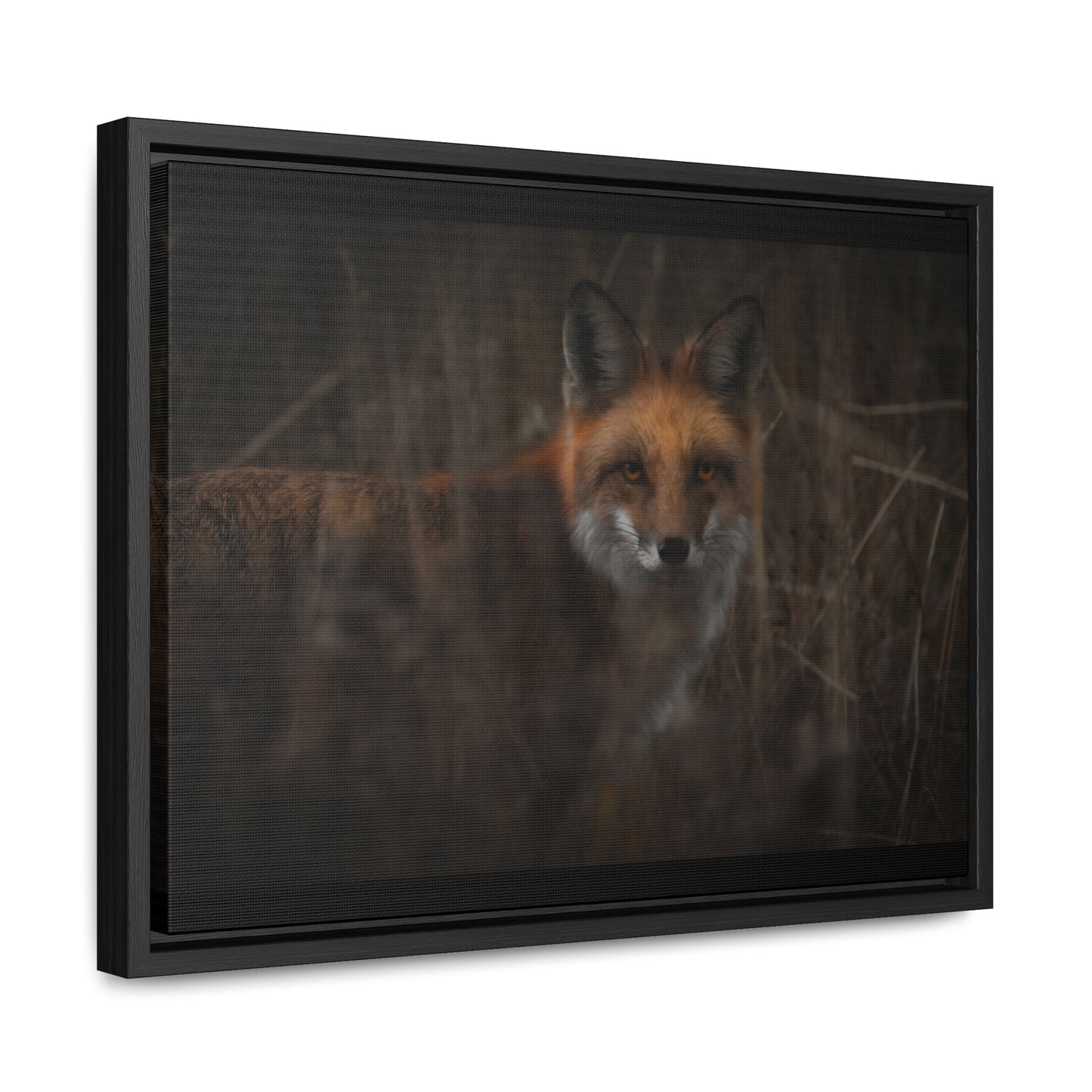 Fox Framed Gallery Canvas