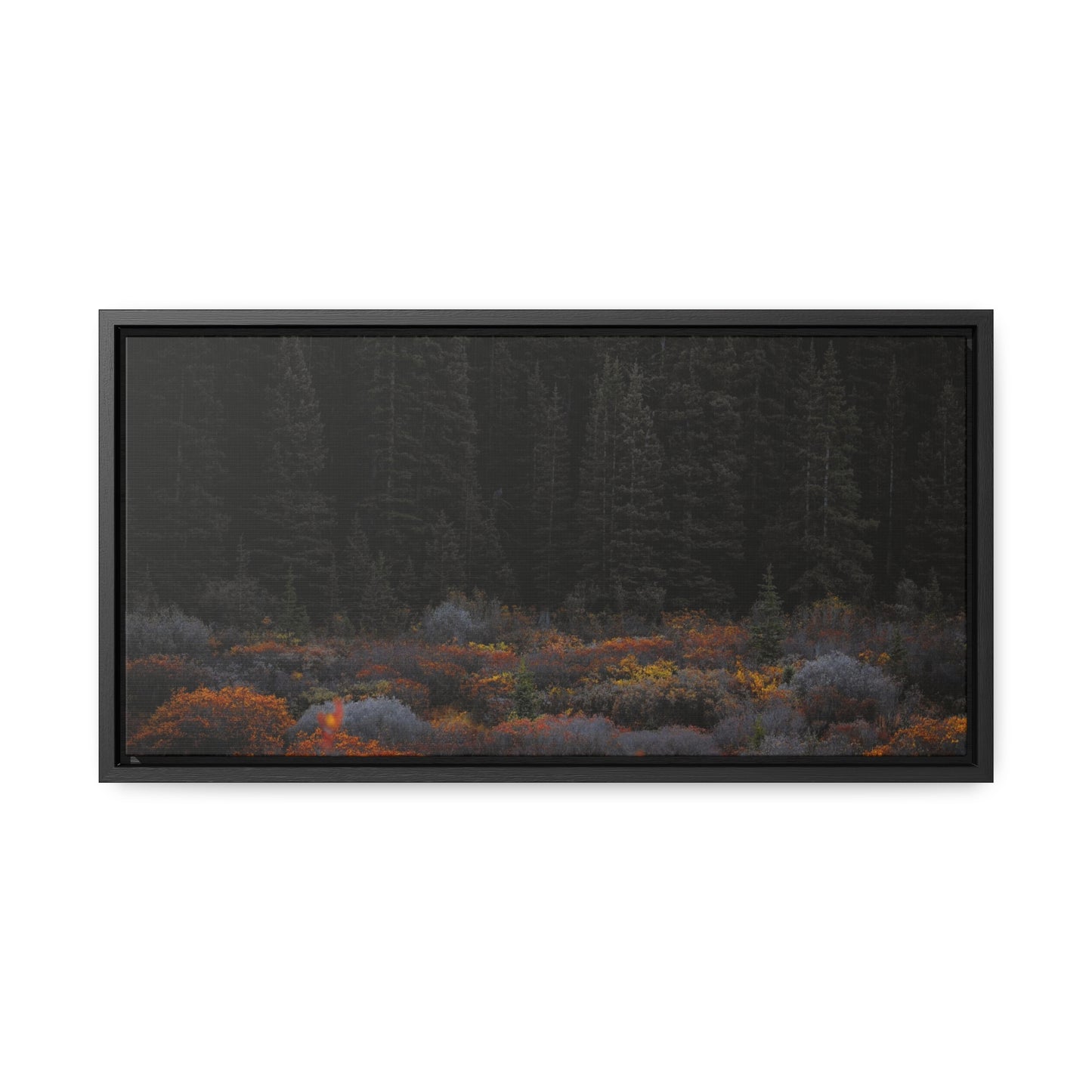 Moody Forest Framed Gallery Canvas