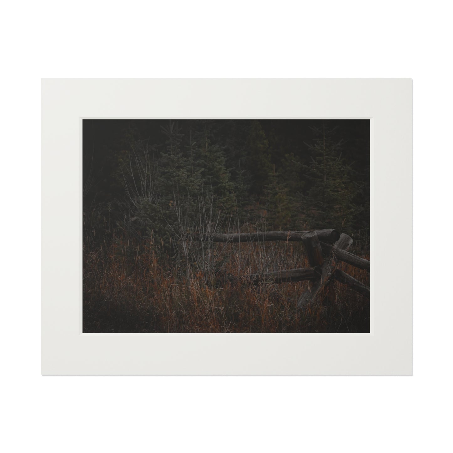 "Countryside Forest" Fine Art Prints (Passepartout Paper Frame)