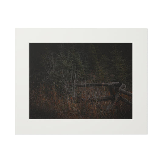 "Countryside Forest" Fine Art Prints (Passepartout Paper Frame)