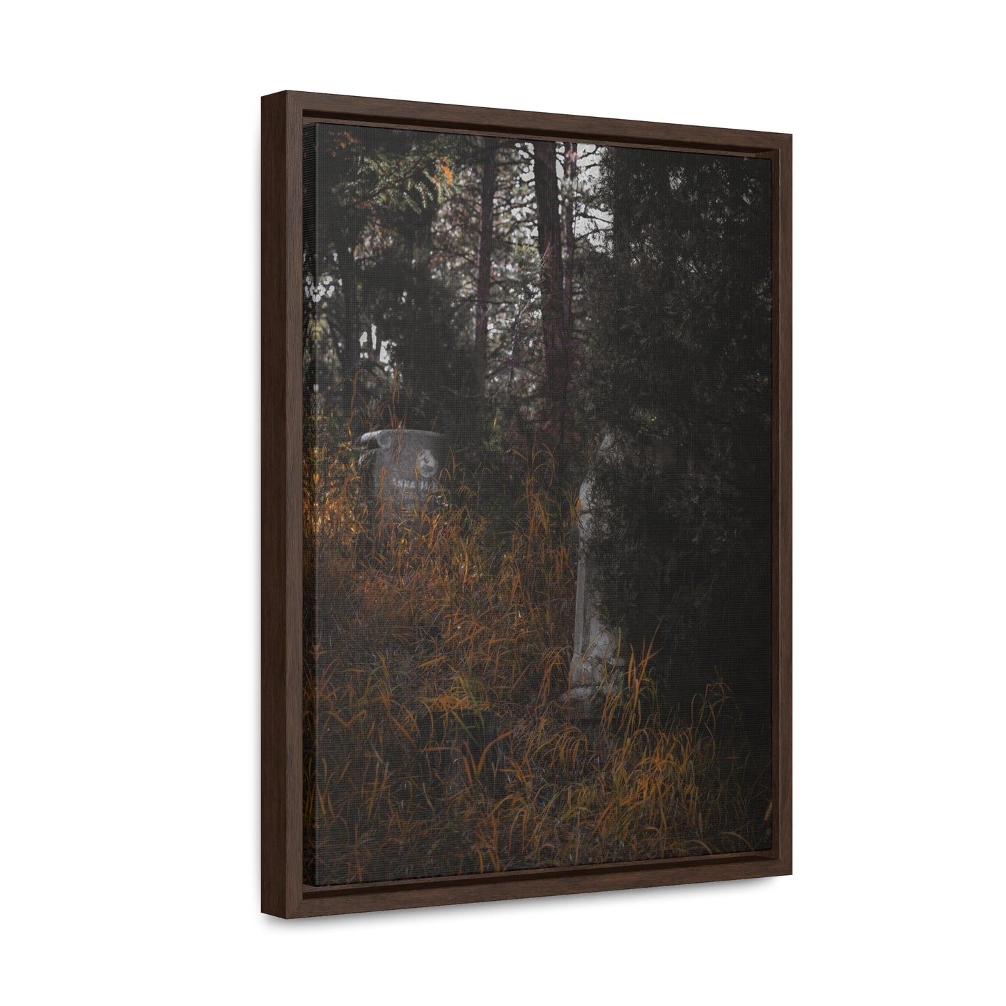 "Hidden Stories" Gallery Canvas Wraps, Vertical Frame