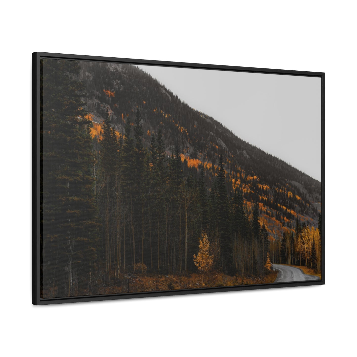 The Lonely Road Framed Gallery Canvas