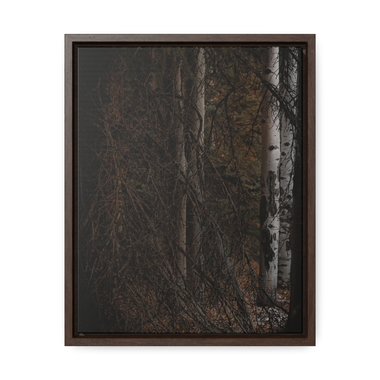 The Dark Forest Gallery Canvas Wraps, Vertical Frame