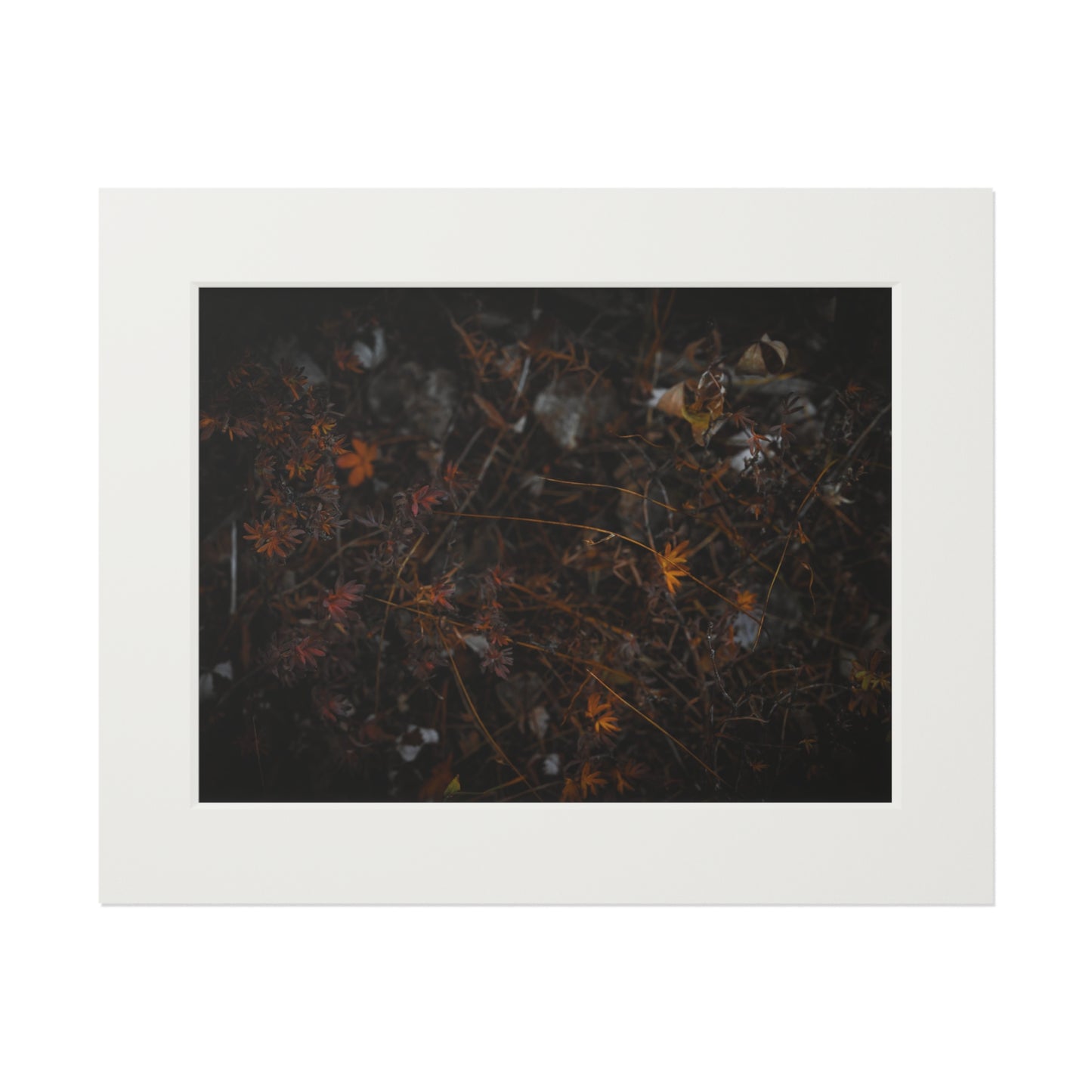 "Autumn's Last Breath" Fine Art Prints (Passepartout Paper Frame)