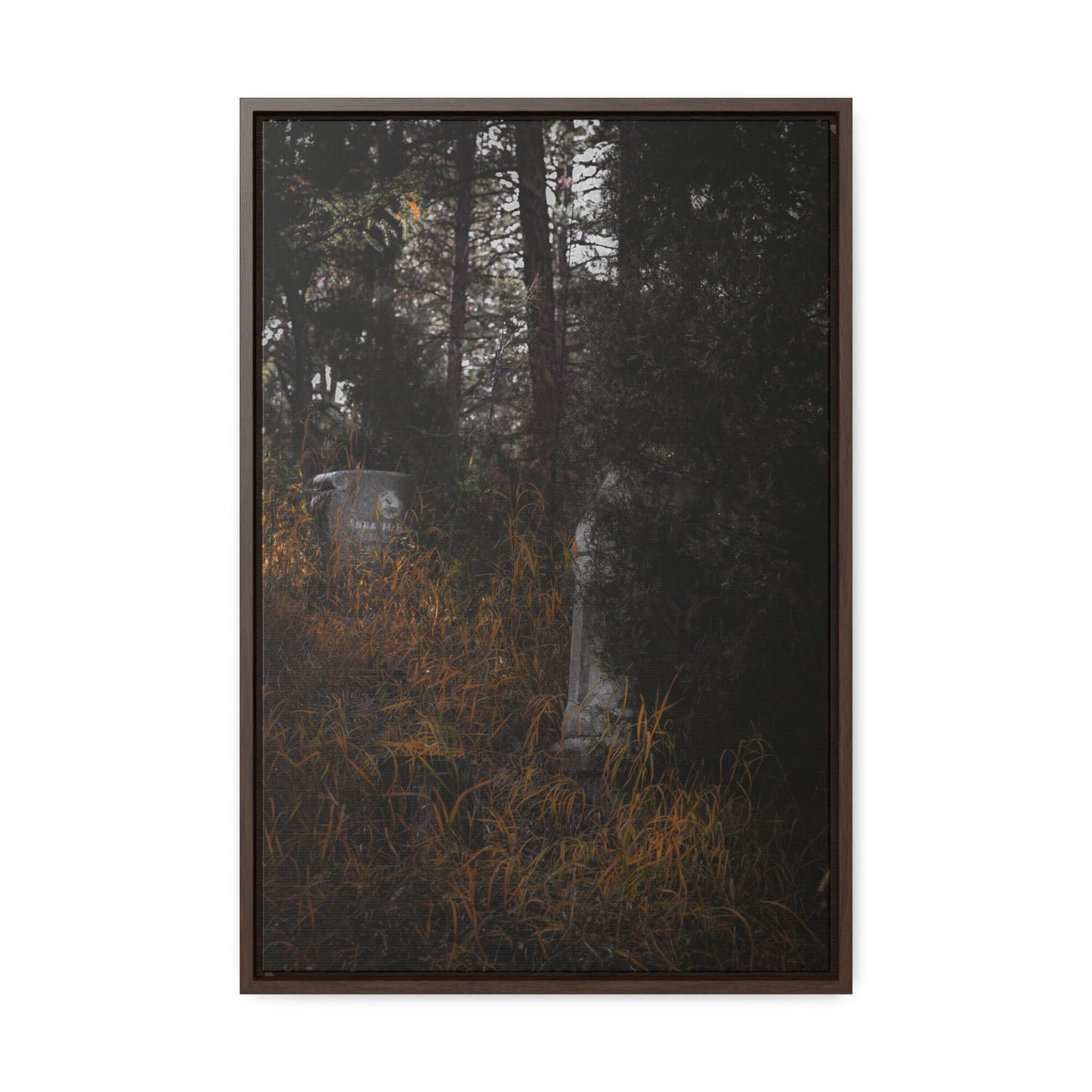 "Hidden Stories" Gallery Canvas Wraps, Vertical Frame