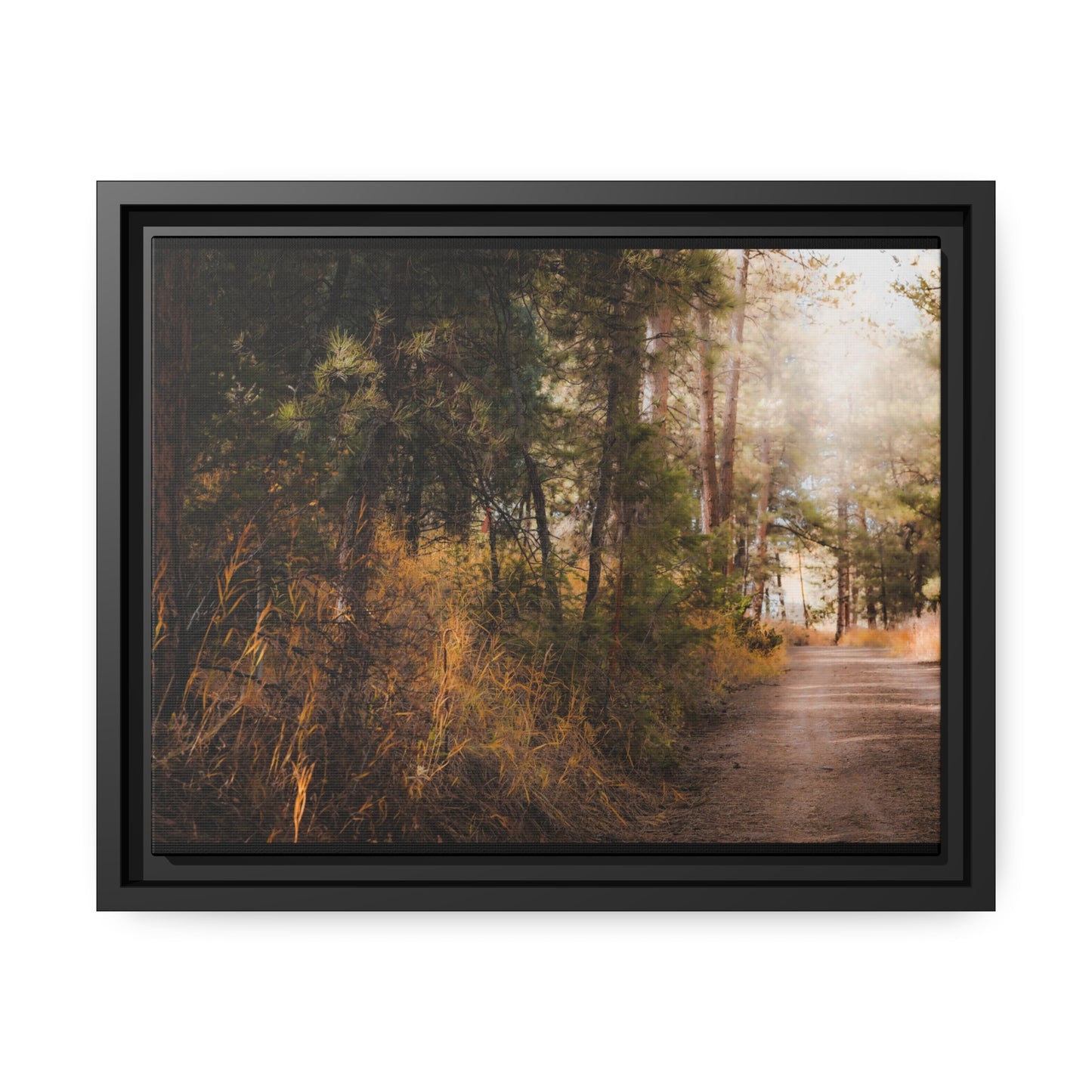 "Cemetery Light" Framed Canvas