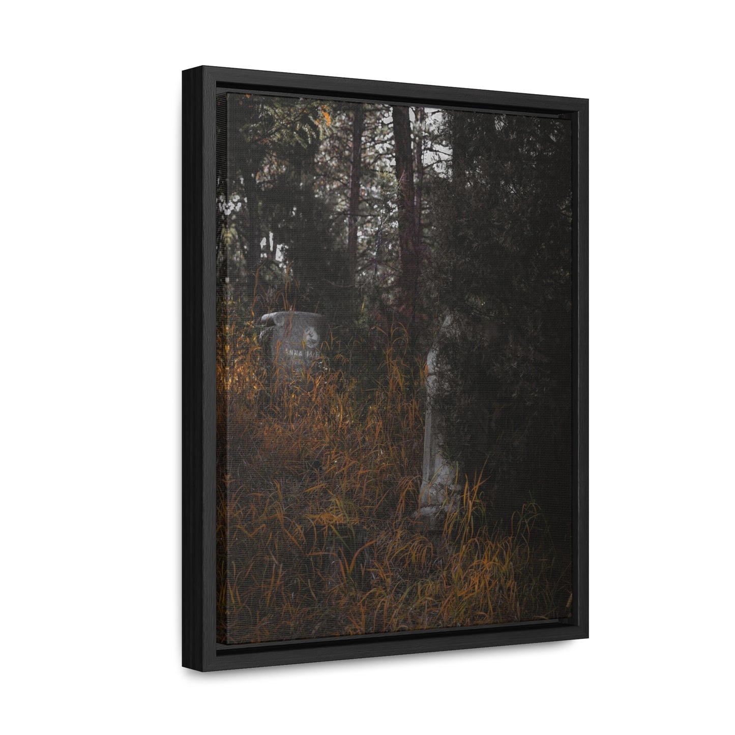 "Hidden Stories" Gallery Canvas Wraps, Vertical Frame