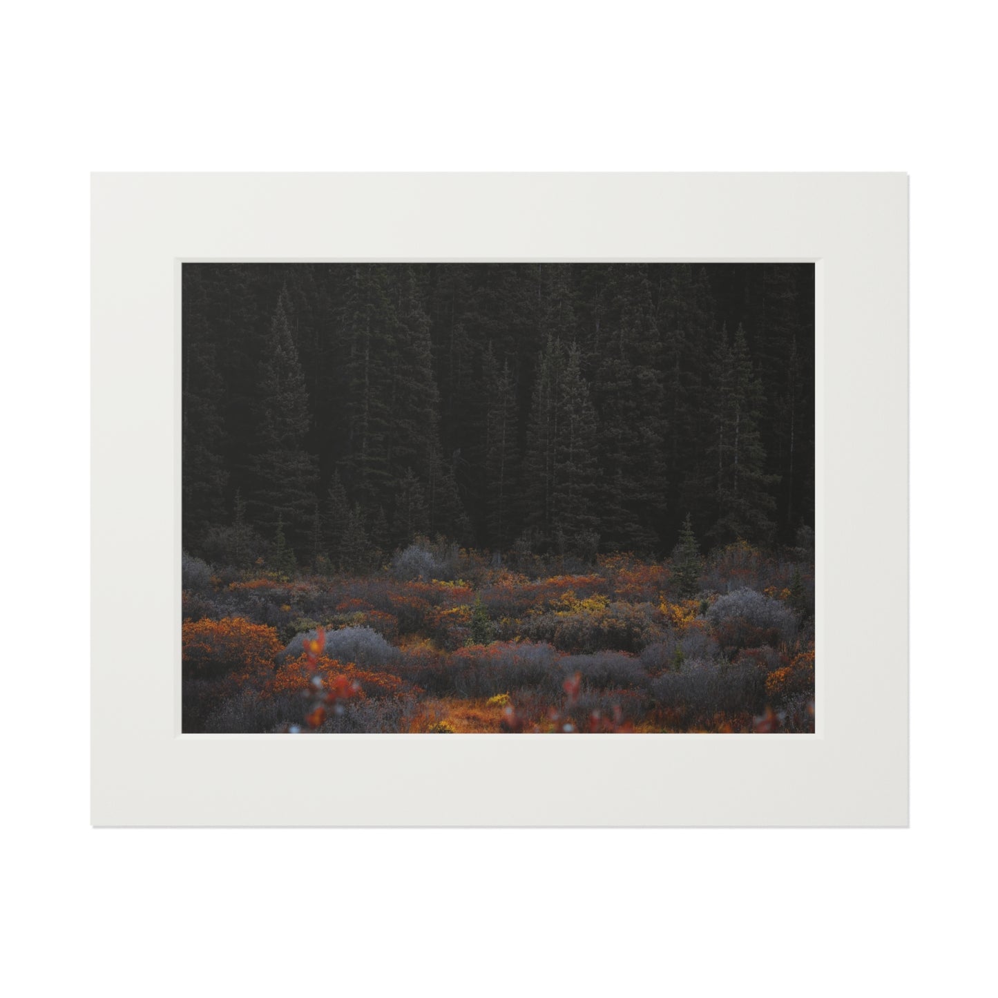 "Moody Forest" Fine Art Prints (Passepartout Paper Frame)