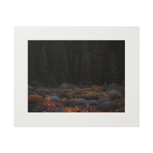 "Moody Forest" Fine Art Prints (Passepartout Paper Frame)
