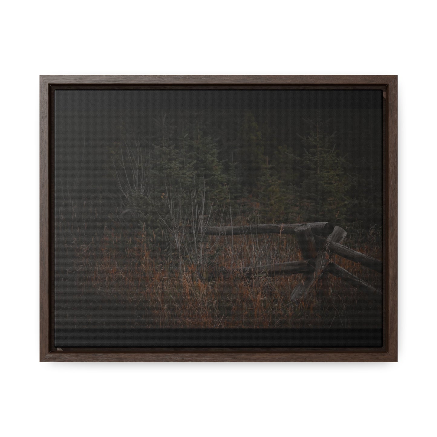 Countryside Forest Framed Gallery Canvas