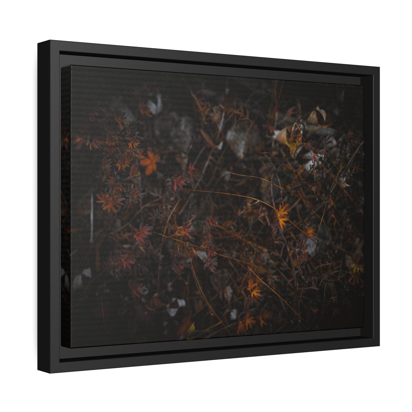 "Autumn's Last Breath" Framed Canvas