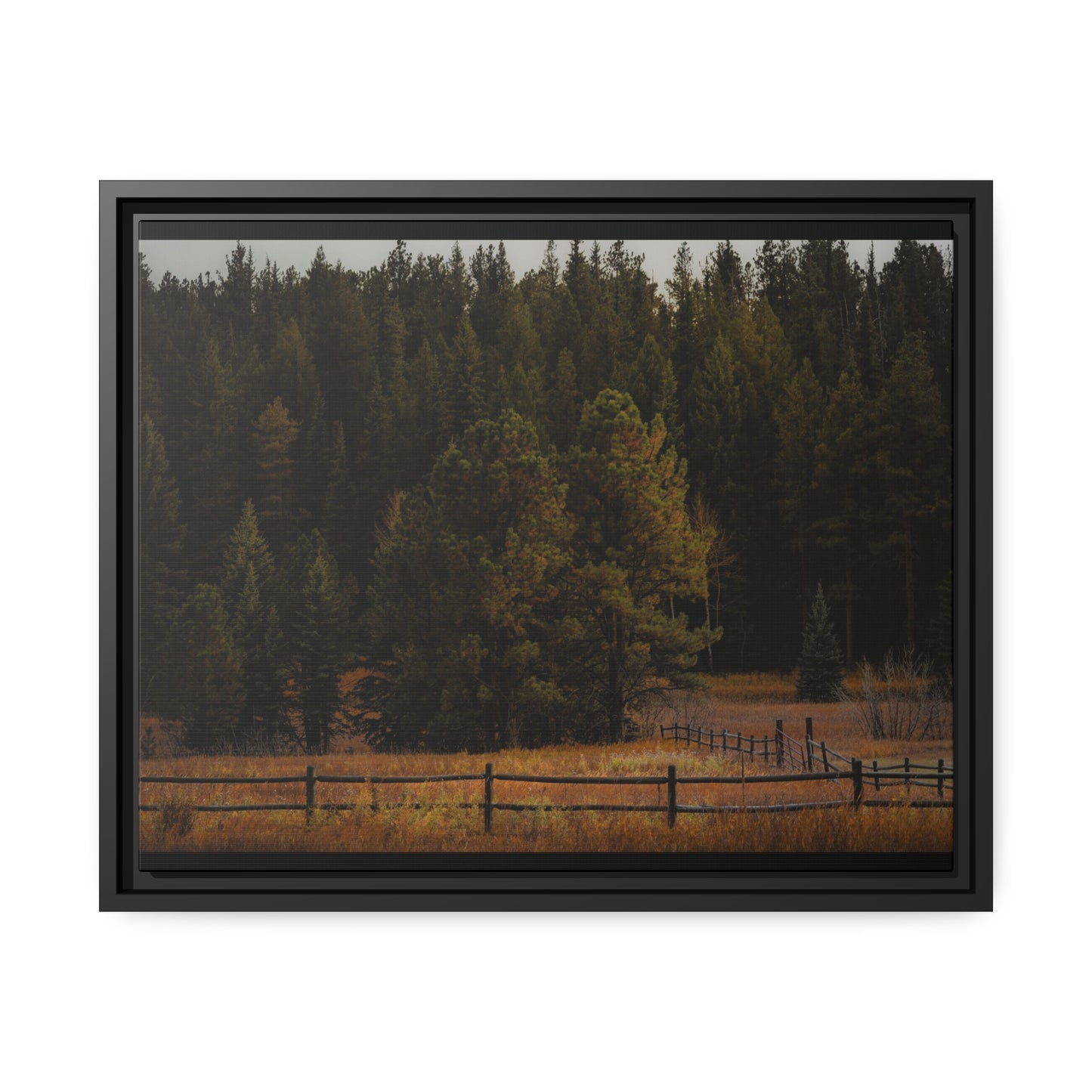 "Forest's Edge" Framed Canvas