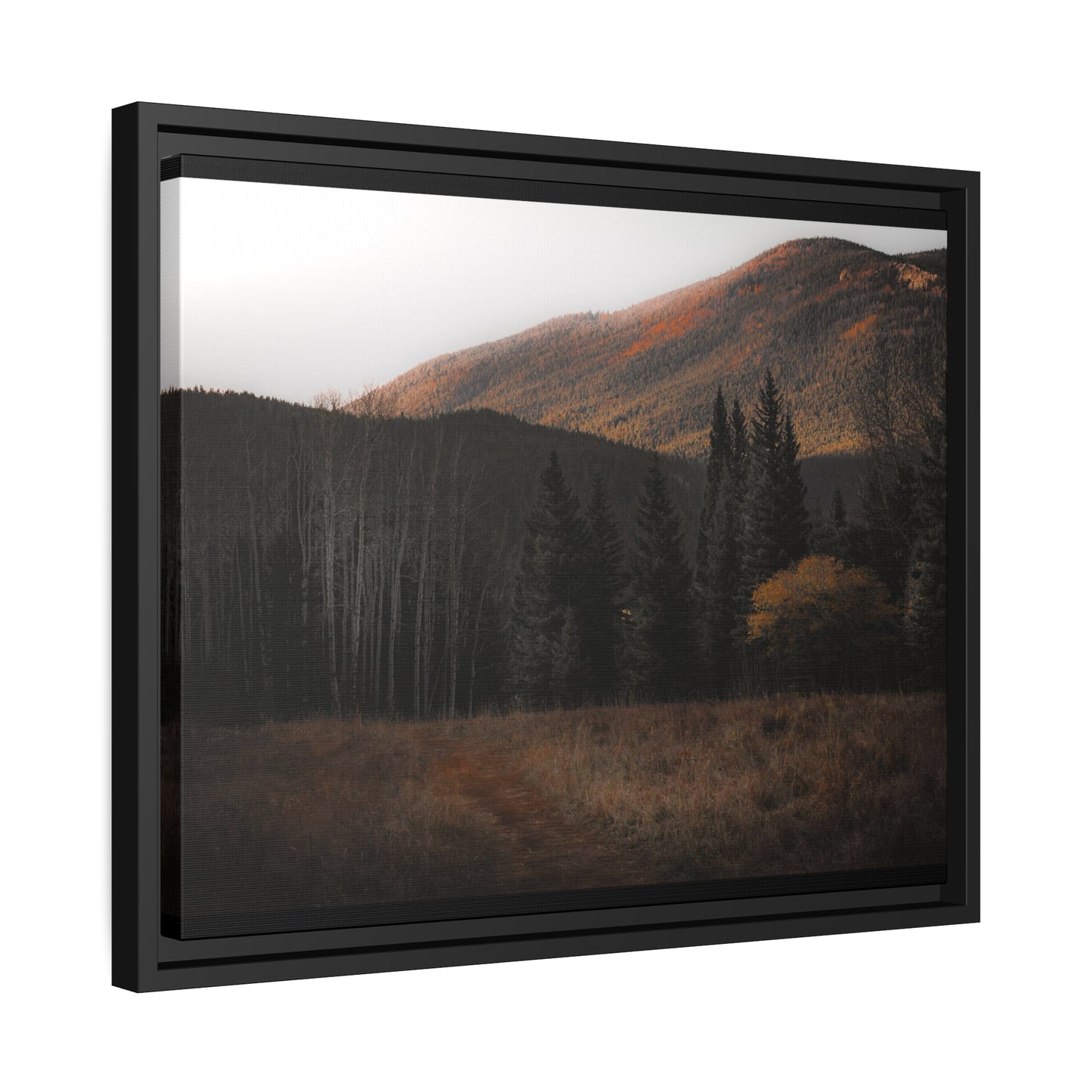 Evening Glow Framed Canvas