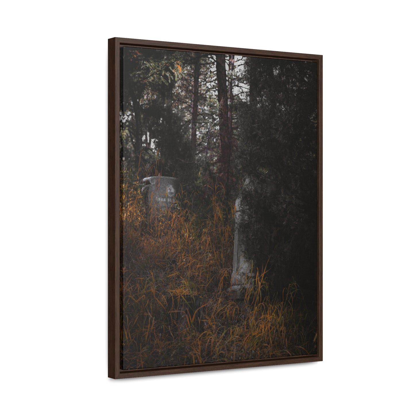 "Hidden Stories" Gallery Canvas Wraps, Vertical Frame