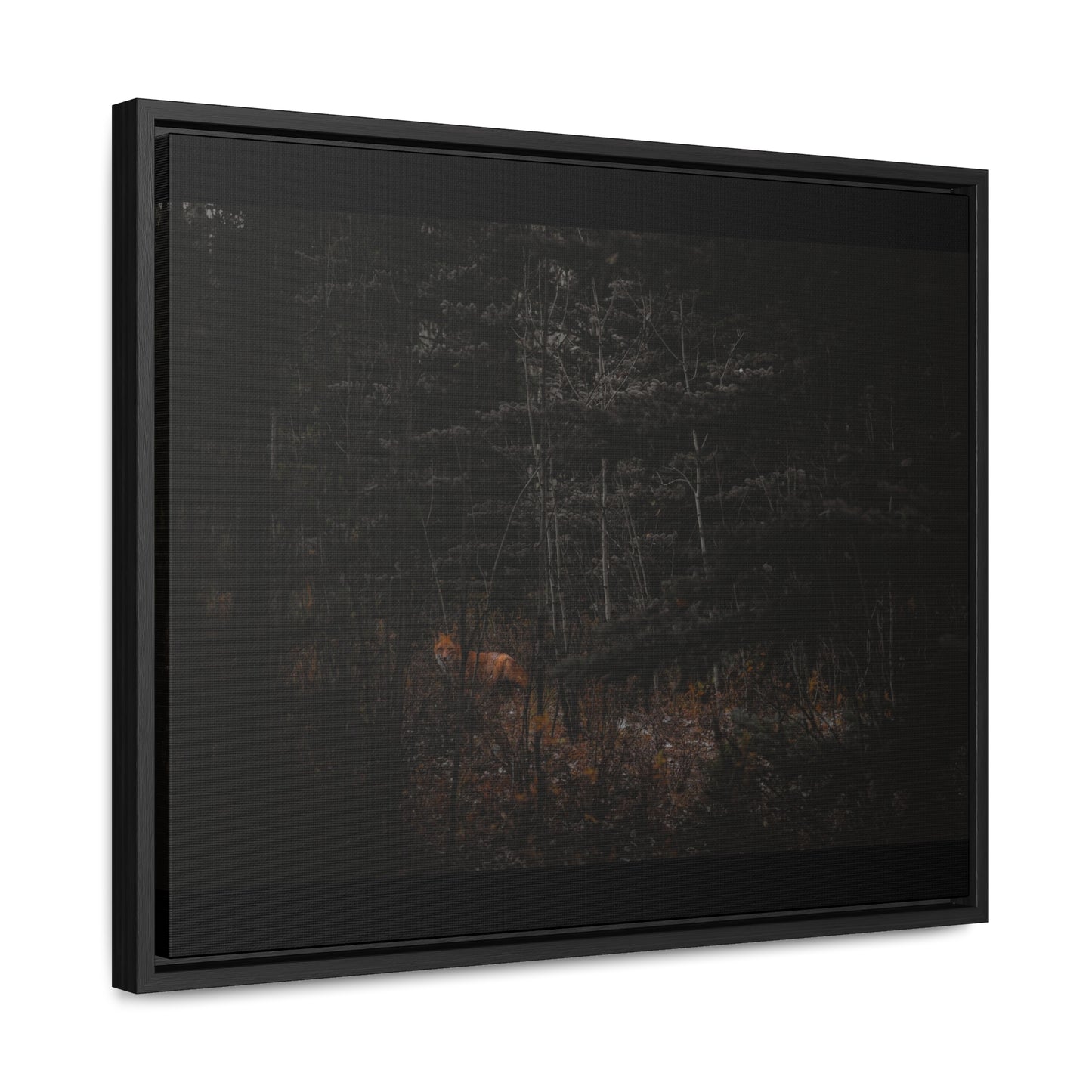 The Fox of the Forest Framed Gallery Canvas