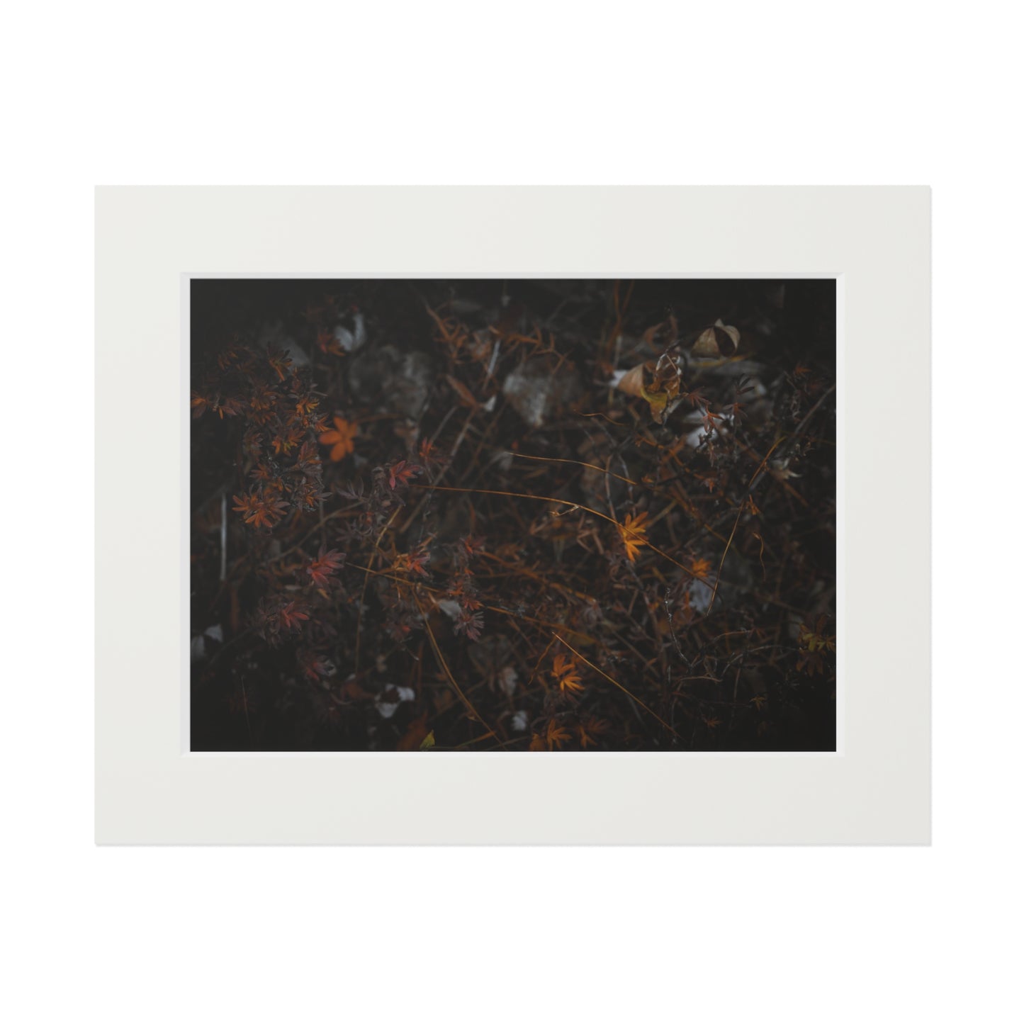 "Autumn's Last Breath" Fine Art Prints (Passepartout Paper Frame)