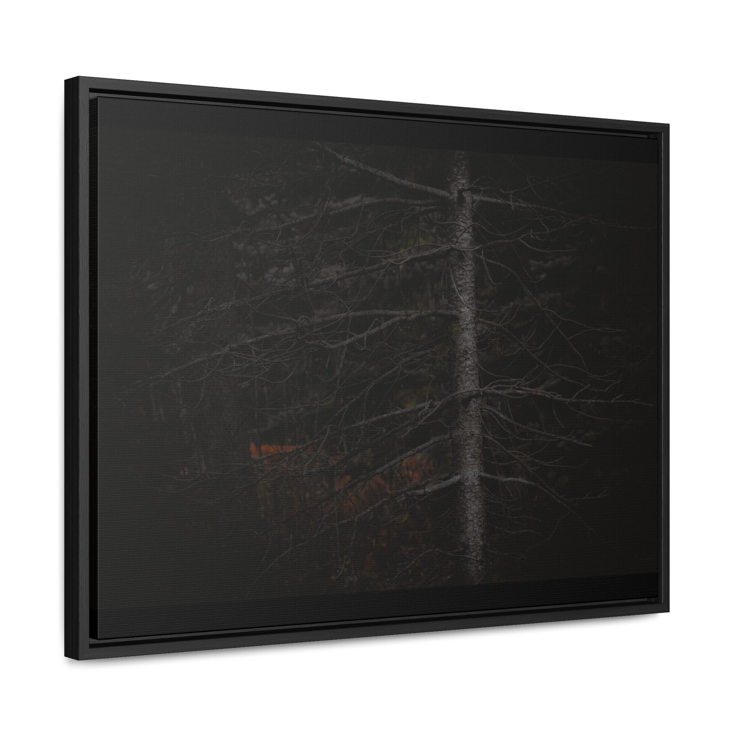 Beauty in Darkness Framed Gallery Canvas