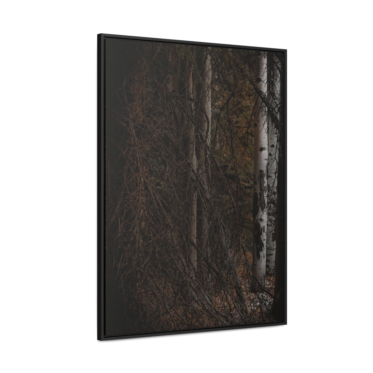 The Dark Forest Gallery Canvas Wraps, Vertical Frame