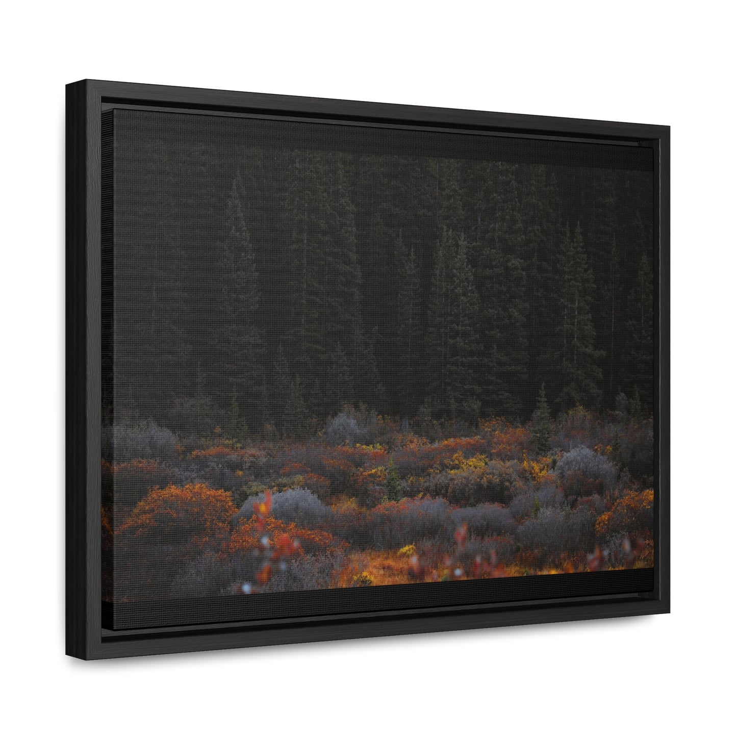 Moody Forest Framed Gallery Canvas