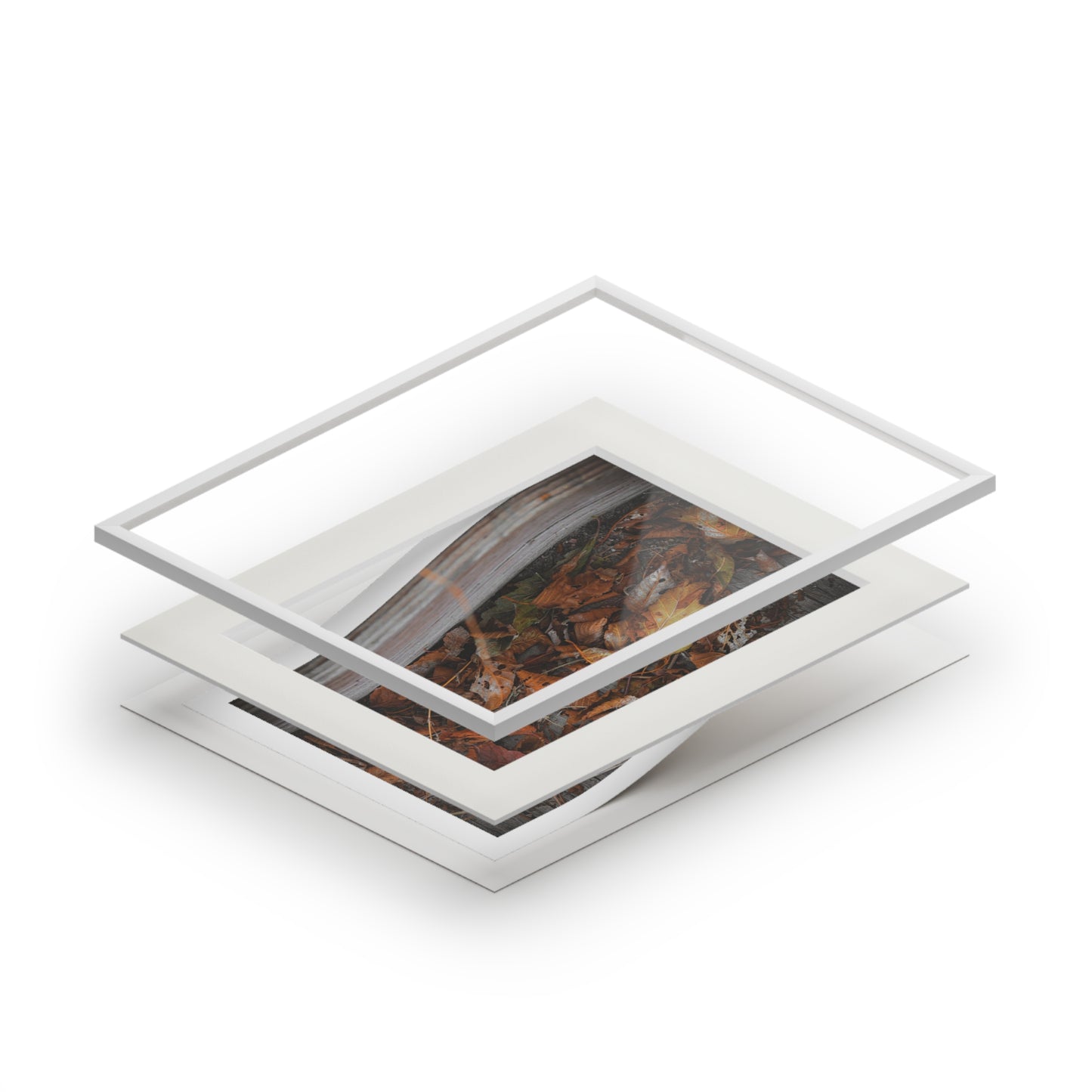 "Leaves on a Bridge" Fine Art Prints (Passepartout Paper Frame)