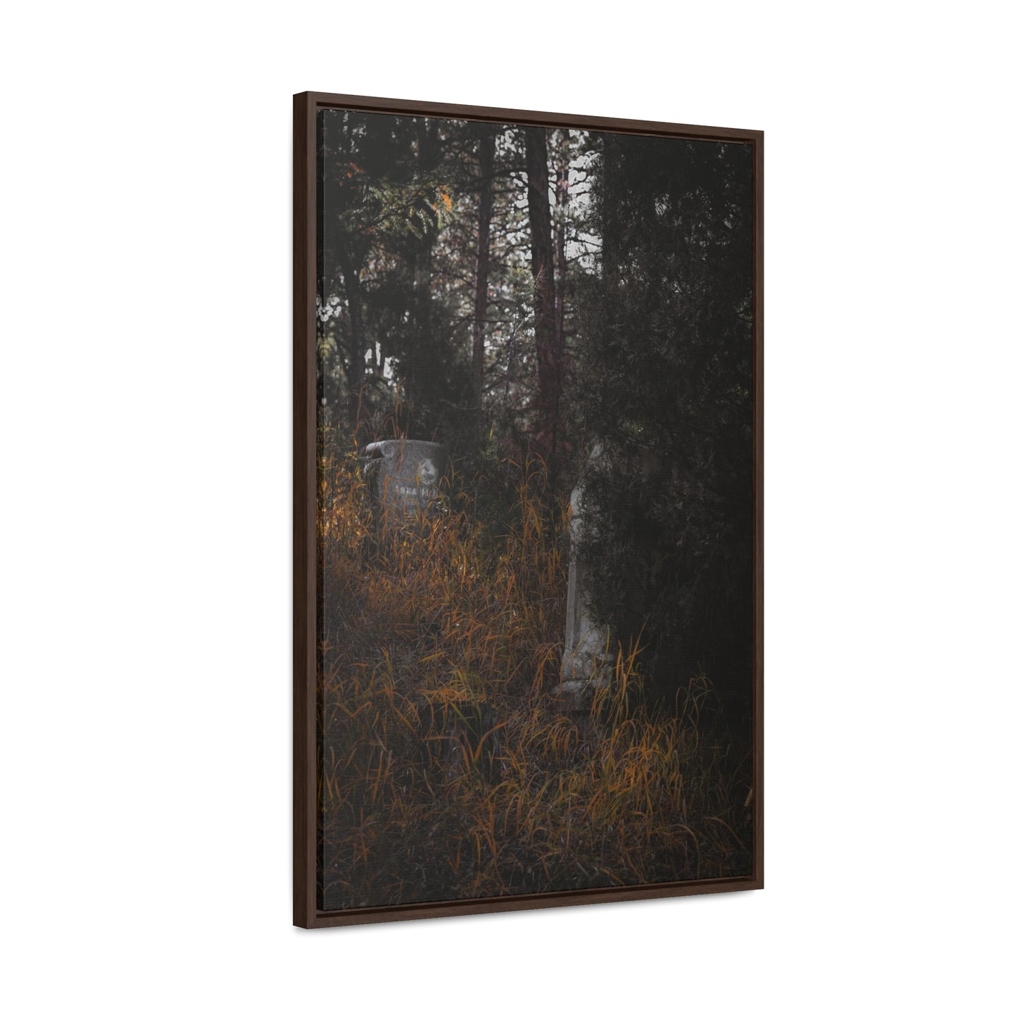 "Hidden Stories" Gallery Canvas Wraps, Vertical Frame