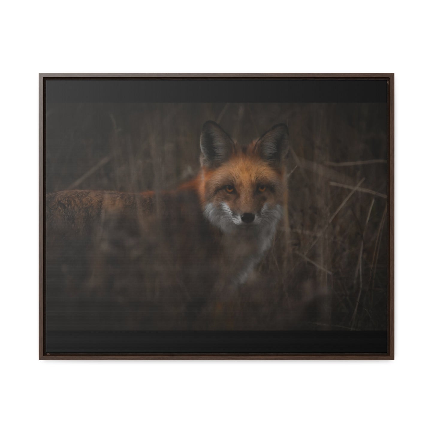 Fox Framed Gallery Canvas