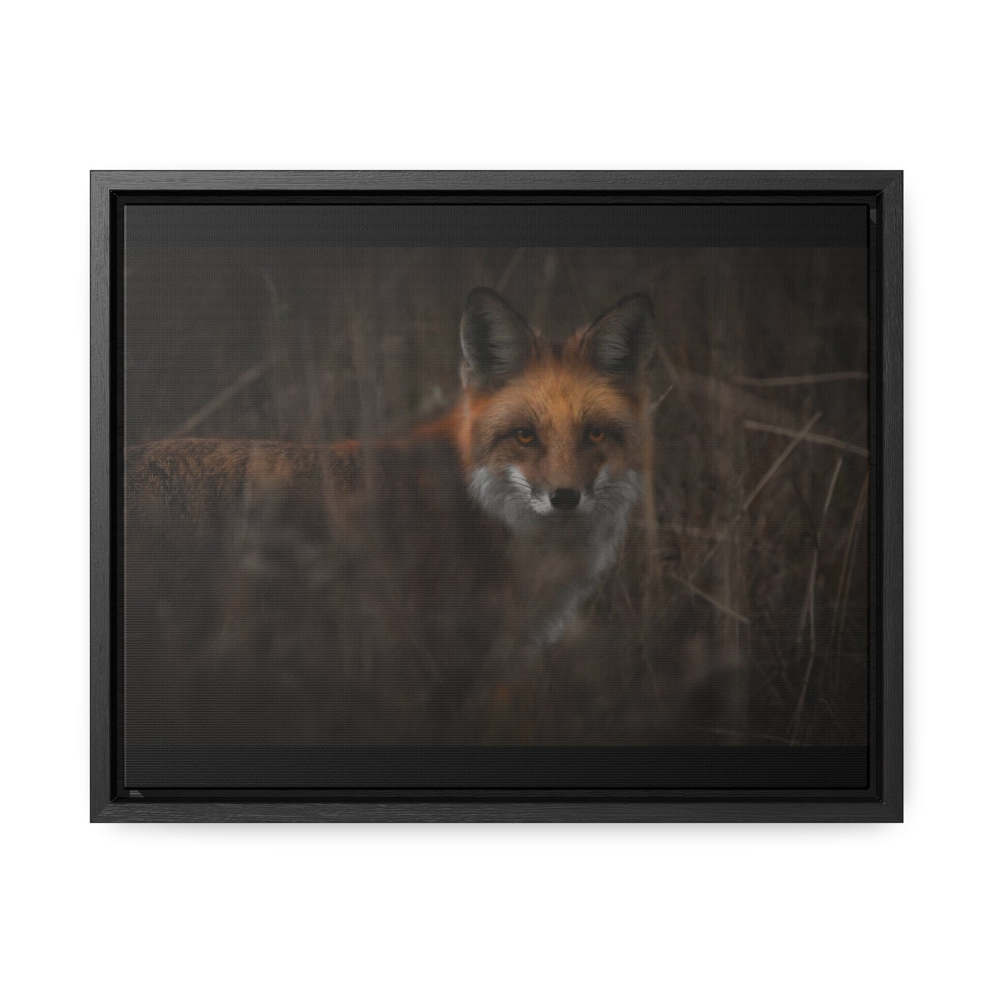 Fox Framed Gallery Canvas