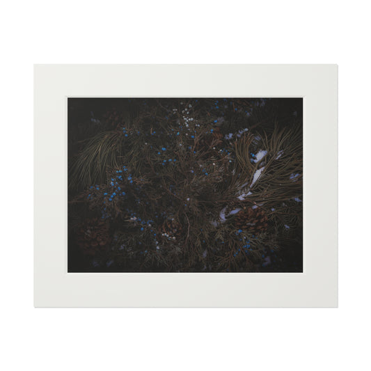 "Winter Berries" Fine Art Prints (Passepartout Paper Frame)