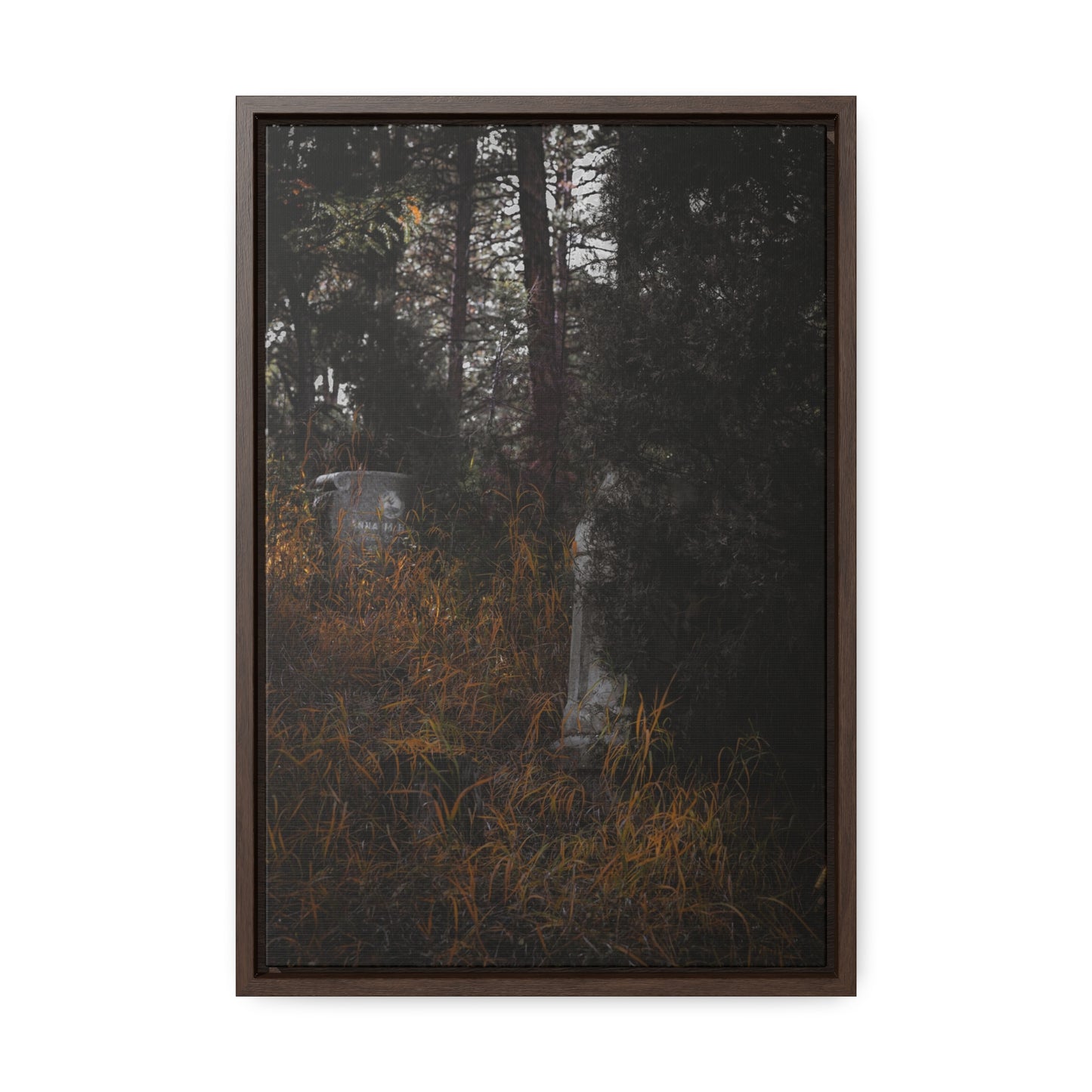 "Hidden Stories" Gallery Canvas Wraps, Vertical Frame