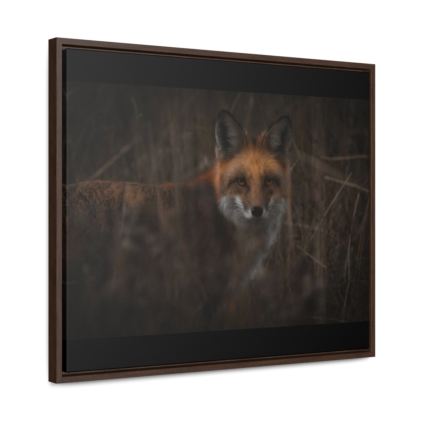 Fox Framed Gallery Canvas