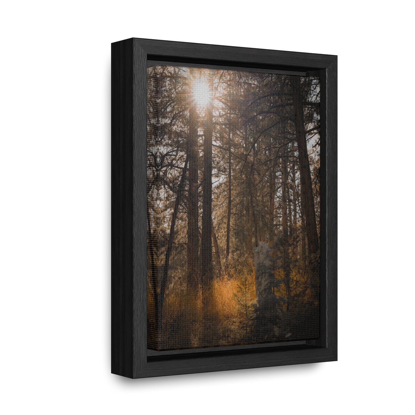 The Sun in the Cemetery Gallery Canvas Wraps, Vertical Frame