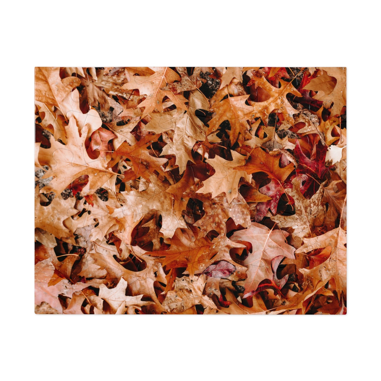 "Crunchy" Jigsaw Puzzle (30, 110, 252, 500,1000-Piece)