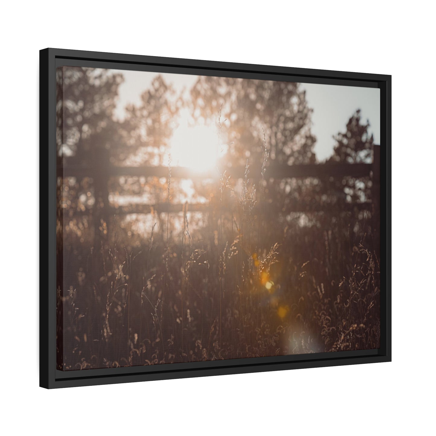 "October Sun" Framed Canvas