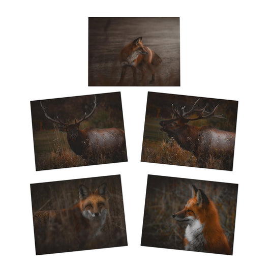 "Woodland Critters" Multi-Design Greeting Cards (5-Pack)