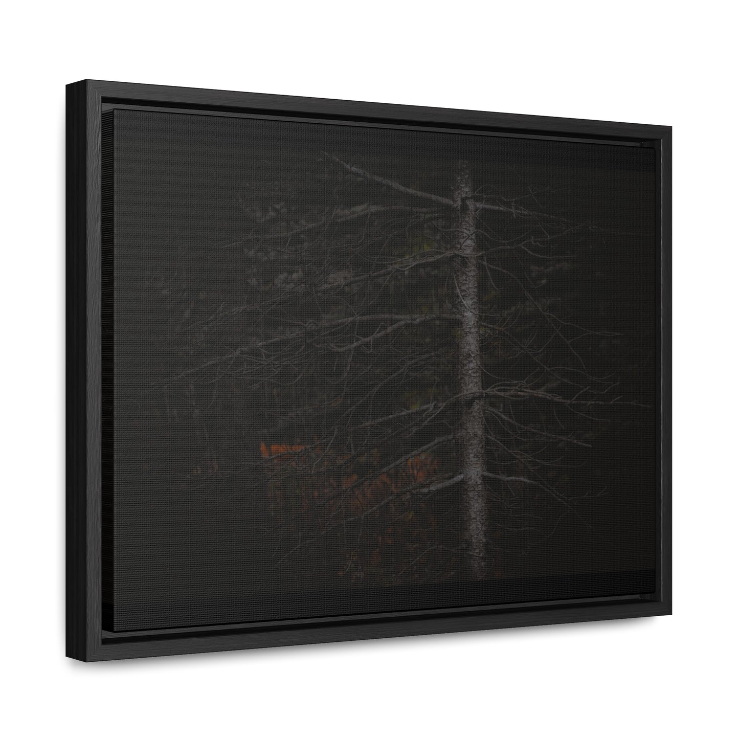 Beauty in Darkness Framed Gallery Canvas