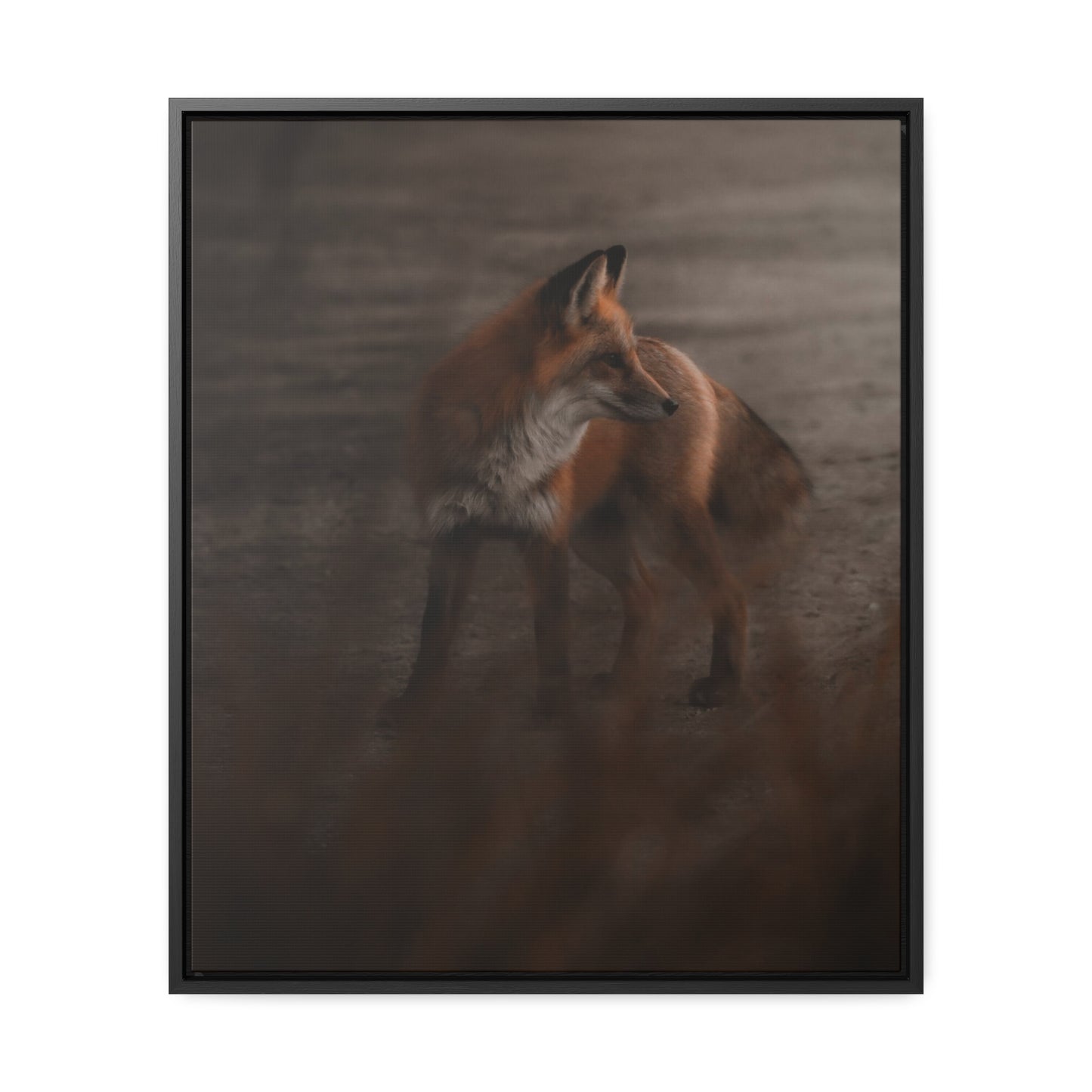 The Sly Fox Gallery Canvas Wraps, Vertical Frame