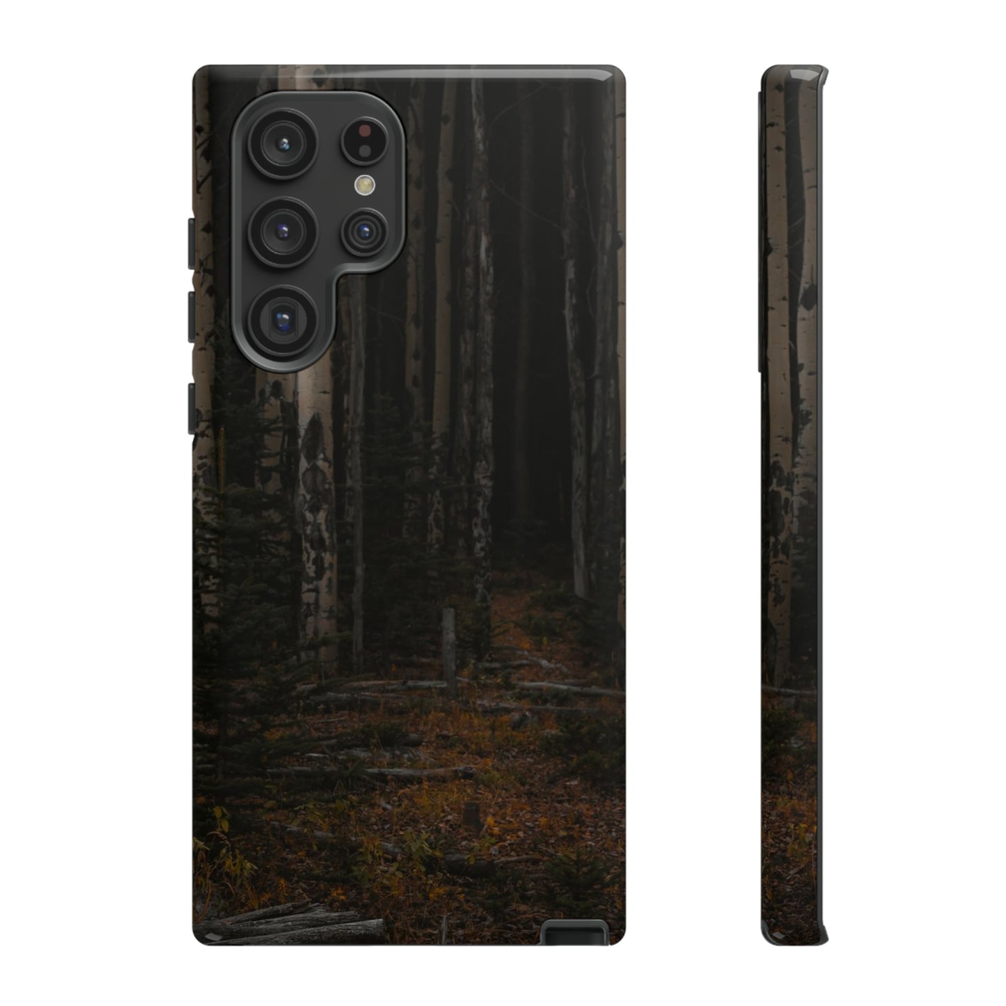 "Moody Aspens" Tough Cases