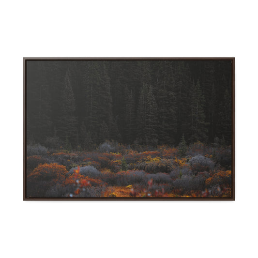 Moody Forest Framed Gallery Canvas