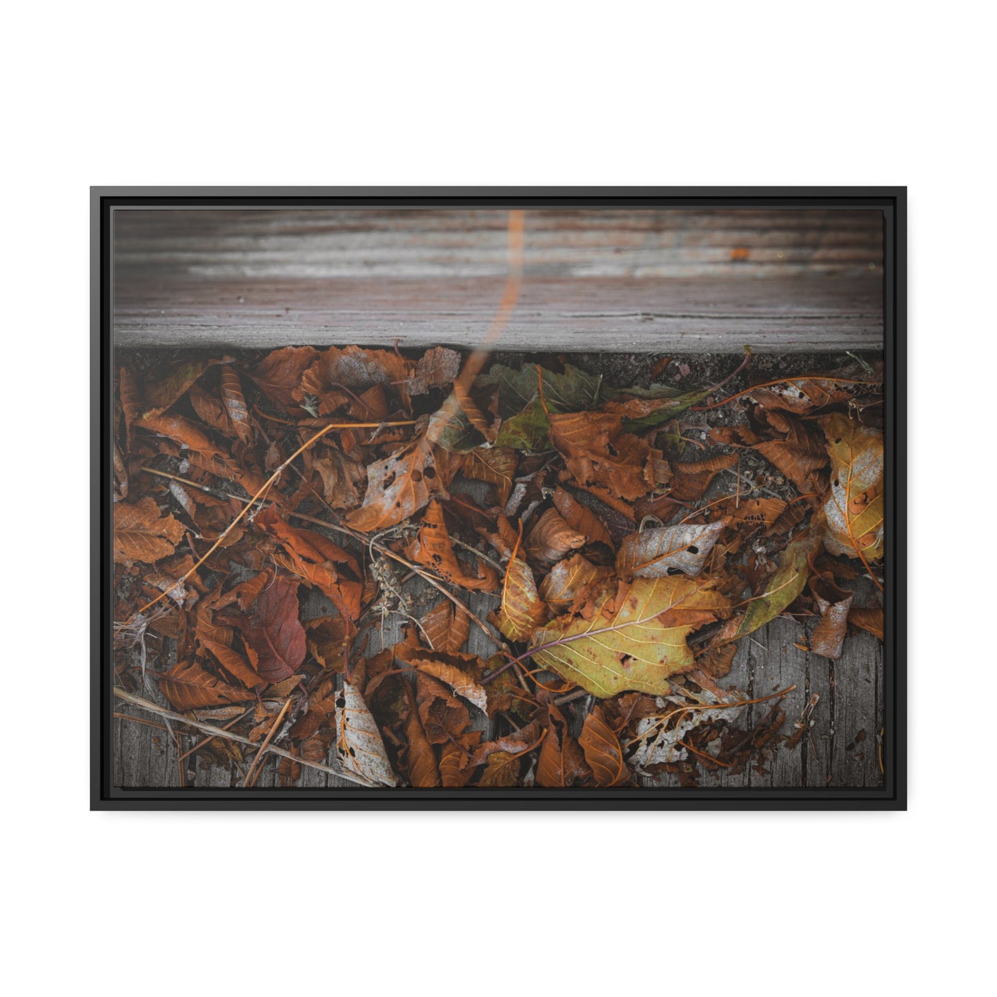 "Leaves on a Bridge" Framed Canvas