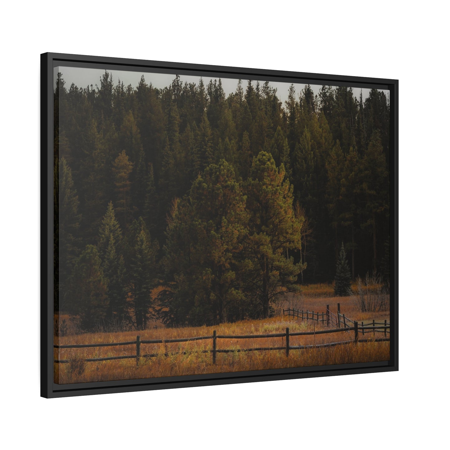 "Forest's Edge" Framed Canvas