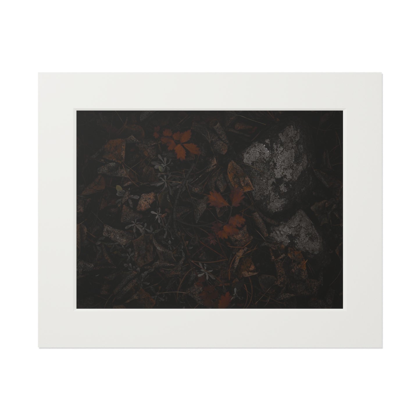 "Autumn's Floor" Fine Art Prints (Passepartout Paper Frame)