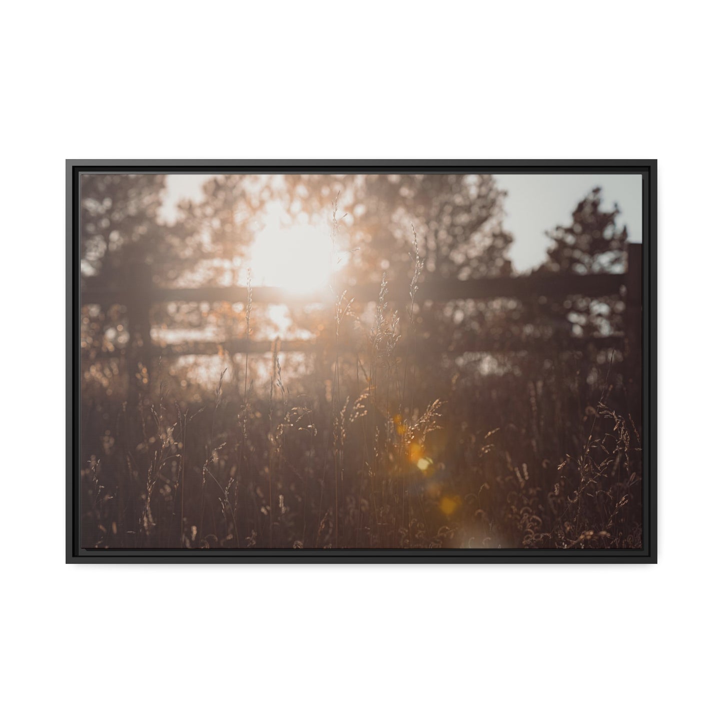 "October Sun" Framed Canvas