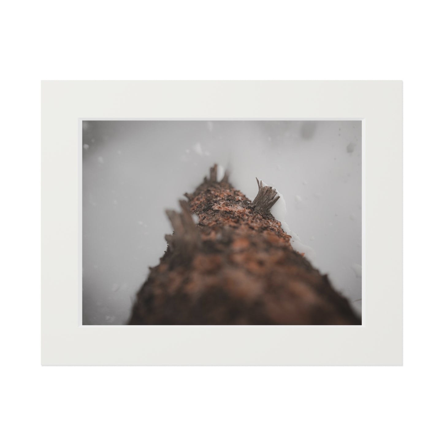 "The Snowfall" Fine Art Prints (Passepartout Paper Frame)