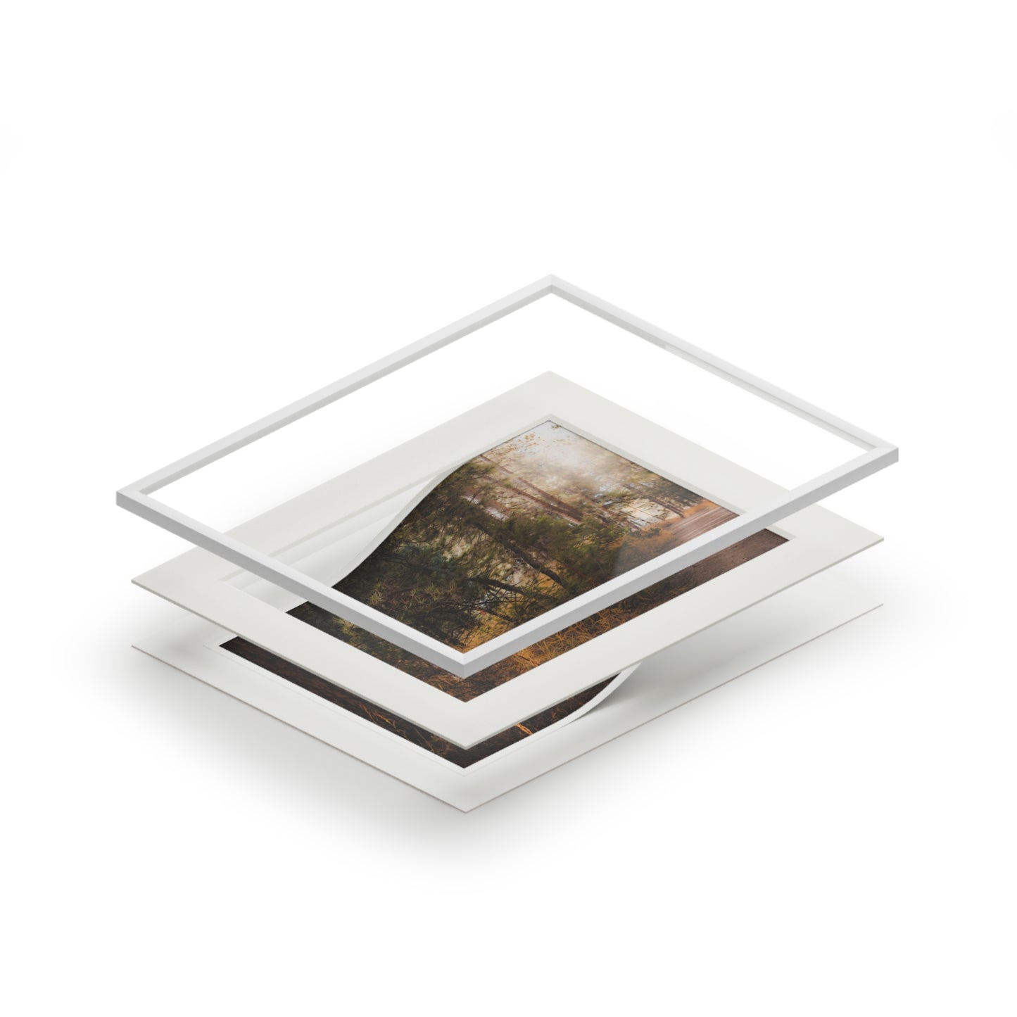 "Cemetery Light" Fine Art Prints (Passepartout Paper Frame)