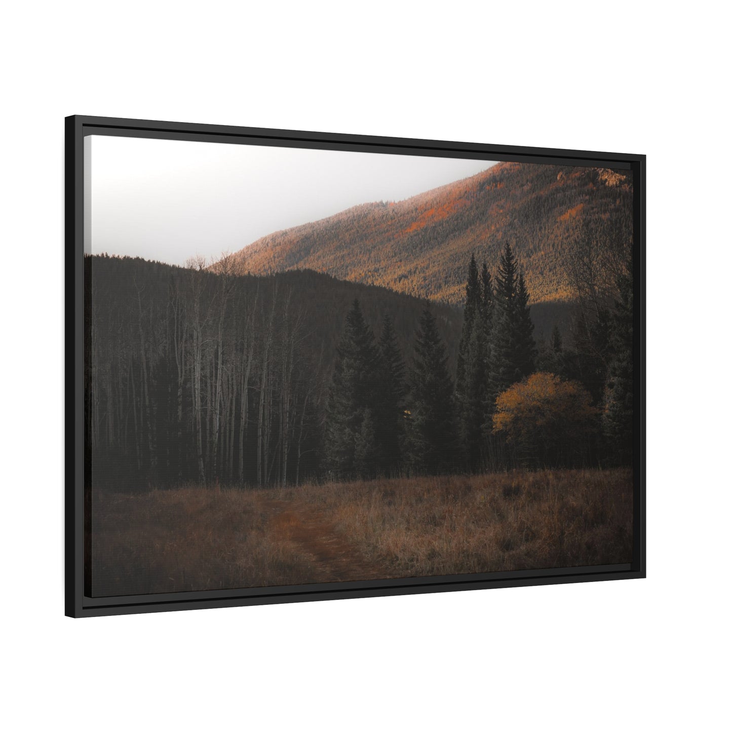 Evening Glow Framed Canvas