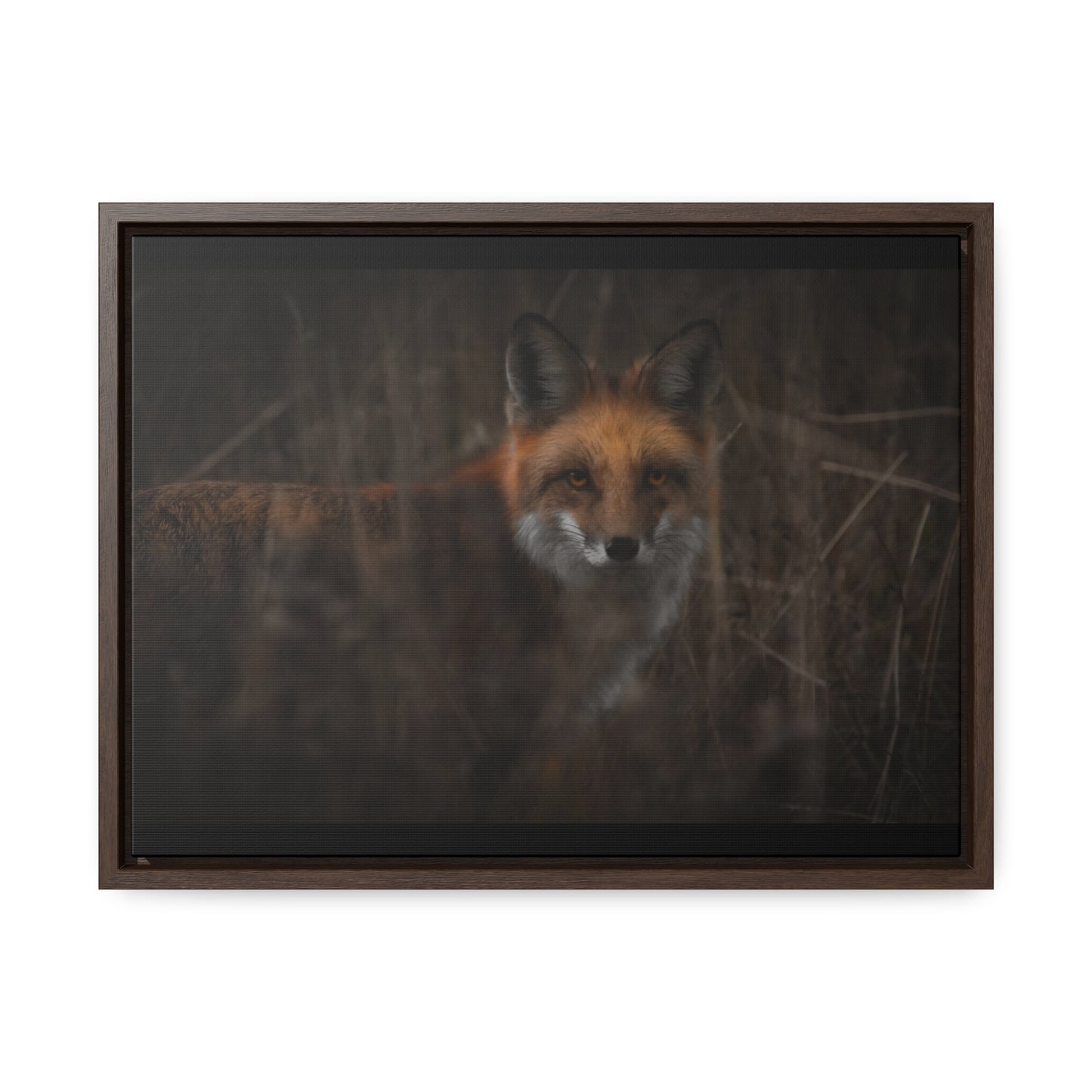 Fox Framed Gallery Canvas