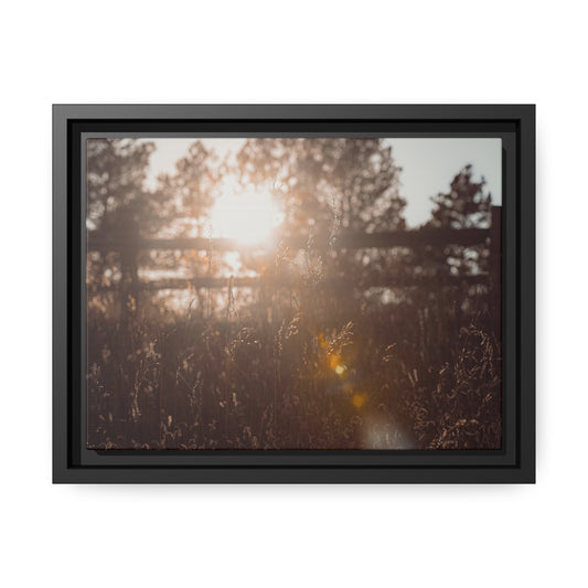 "October Sun" Framed Canvas