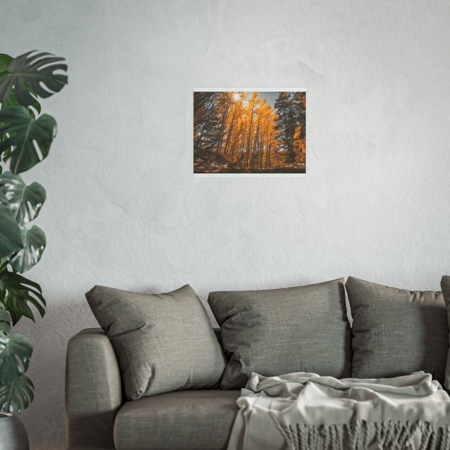 "Autumn's Light" Fine Art Print